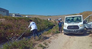 Şehrin Farklı Noktalarında İlaçlama Çalışması