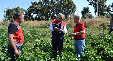 Soya Fasulyesi Ekim Alanları İncelendi