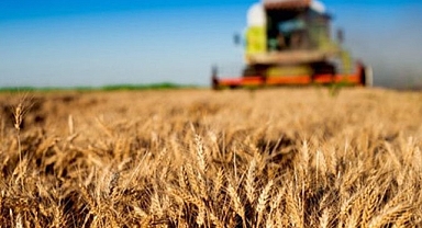 Tarım-ÜFE Aylık %1,95 Arttı