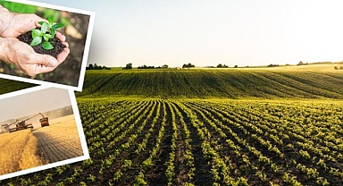 Tarımsal Destek Ödemeleri Hesaplara Yatırıldı