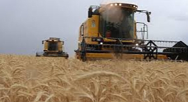 Tarımsal Girdi Fiyat Endeksi Arttı