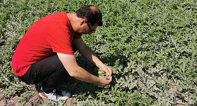 Tarımsal Üretimin Verimliliği Arttırılıyor