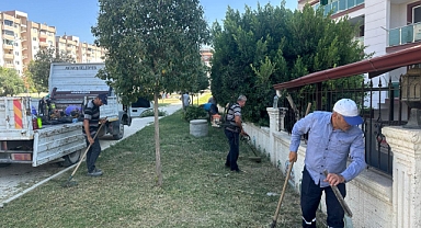 Yeşil Alanlar Güzelleştiriliyor