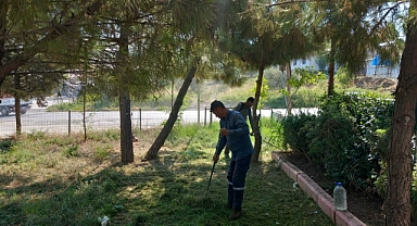 Yeşil Alanlar Güzelleştiriliyor