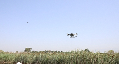 229 Hektar Alan Drone İle İlaçlandı