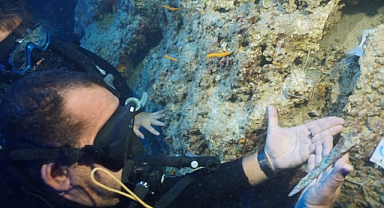 3 Bin 600 Yıllık Tunç Hançer Bulundu