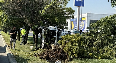 Ağaca çarpan otomobildeki 1 kişi öldü, 2 kişi yaralandı