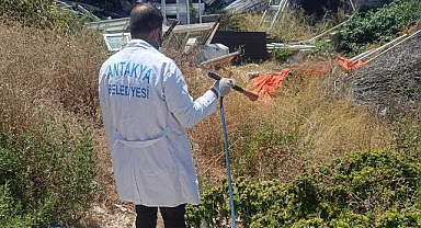 Antakya Belediyesi, İlaçlama Çalışmalarını Sıklaştırdı