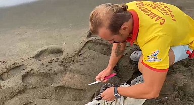 Çuvala Dolanan Caretta Caretta Yavrusu Kurtarıldı
