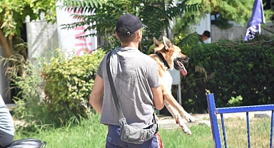 Denize düşen köpek kurtarıldı