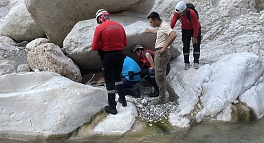 Dere yatağında yaralı bulunan yaban keçisi kurtarıldı