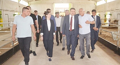 DEVLET DESTEĞİYLE İŞİNİ KURDU