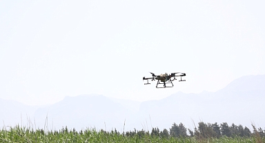 Drone İle 401 Bin Hektar İlaçlandı