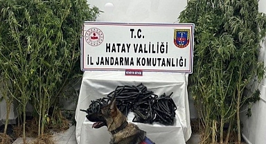 Hatay’da 37 Şüpheli Yakalandı