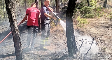 Hatay'da çıkan orman yangını söndürüldü