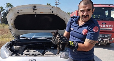 Hatay'da cipin motor kısmına sıkışan kedi yavrusunu itfaiye kurtardı
