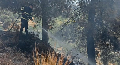 Hatay'da ormanlık ve otluk alanlarda çıkan yangınlar söndürüldü