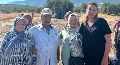 KARA: YURTTAŞLARIMIZIN ZEYTİNLİKLERİ HUKUKSUZCA GASP EDİLİYOR