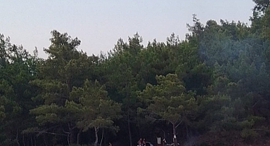 Ormanlık alanda piknik ateşi yakan 3 kişiye para cezası verildi