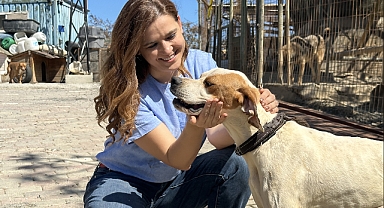 Patili Dostlar N11 İle Yeni Yuvalarını Arıyor