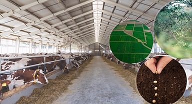 Tarımsal Destekleme Ödemeleri Hesaplara Yatırıldı