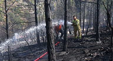 Tozlu Yaylası'ndaki Ormanlık Yangını Kontrol Altına Alındı
