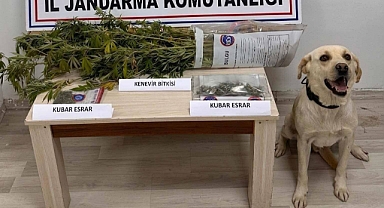 Uyuşturucu operasyonunda 7 zanlı yakalandı