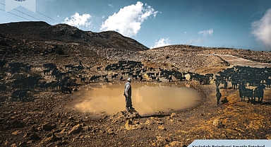Yayladağı festivalinde fotoğraf yarışması sonuçları belli oldu
