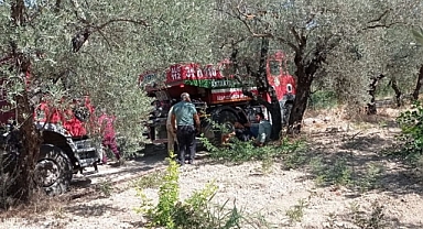Zeytin Bahçesinde Çıkan Yangın Söndürüldü