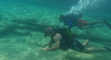 Aslan Balıklarıyla Mücadele Çağrısı