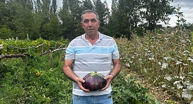 Bahçesinde 2 kilo 200 gramlık patlıcan yetiştirdi