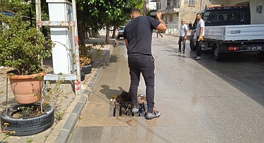 Çalışmalar Sürüyor