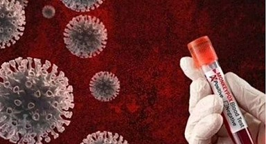 HAMURCU: KEMİRGEN SAYISI ARTIYOR