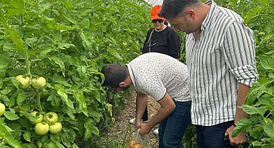 Hasat Öncesi Numune Alımları Yapıldı