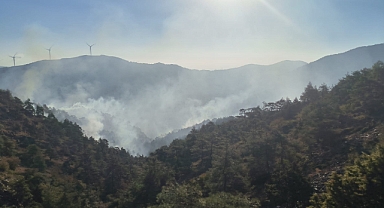 Ormanlık Alandaki Yangına Havadan Ve Karadan Müdahale Ediliyor