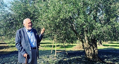 ORTAYLI’DAN ALTIN ZEYTİNYAĞINA ÖVGÜ