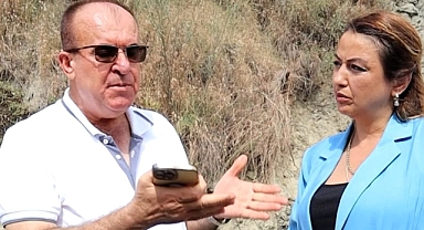 Şirketler Hoyratça Bağ Bahçemizi Talan Ediyor