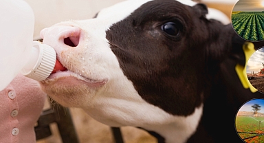 Tarımsal Destekleme Ödemesi Çiftçilerin Hesabına Aktarılıyor