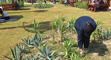 Yeşil Alanları Güzelleştirmeye Devam Ediyor