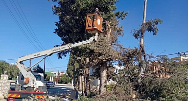 95 Mahallenin Yeşil Alanlarında Çalışmalar Sürüyor
