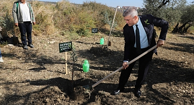 Altınözü’nde deprem ve Filistin şehitler anısına zeytin fidanı dikildi