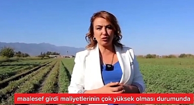 Çiftçiler, Nefes Alamaz Durumda