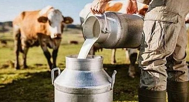 Süt Ve Süt Ürünleri Verileri Açıklandı