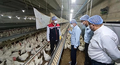 Türkmen, Piliç Üretim Tesisini Ziyaret Etti