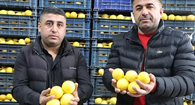 ÇİFTÇİDE UCUZ, MARKETTE FAHİŞ FİYAT