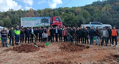 Fidanlar toprakla buluşturuldu