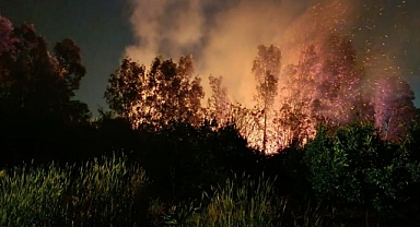 Hatay'da sazlık alanda çıkan yangın kontrol altına alındı