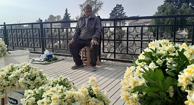 HATAY’I NERGİS KOKULARI KAPLADI