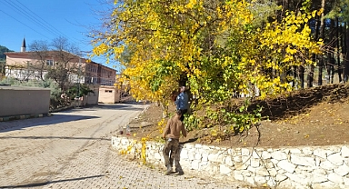 YAYLADAĞI’NDA ÇALIŞMALAR DURMAK BİLMEDEN SÜRÜYOR