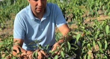 HMKÜ’DEN ÇEVRE DOSTU ÇÖZÜM